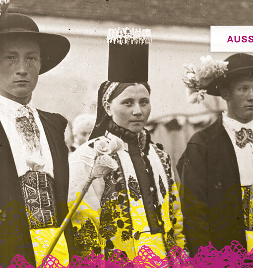 Einfach schön? Politisierung „deutscher Volkskultur“ aus dem östlichen Europa