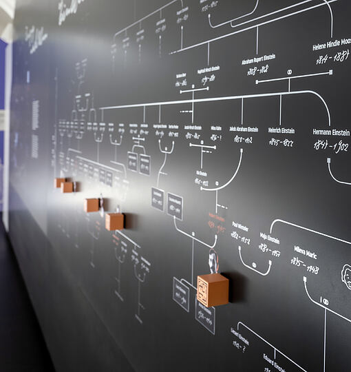 Die Einsteins - Museum einer Ulmer Familie